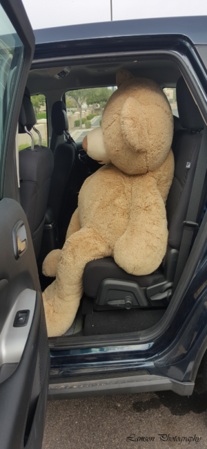 Teddy Phone Wallpaper